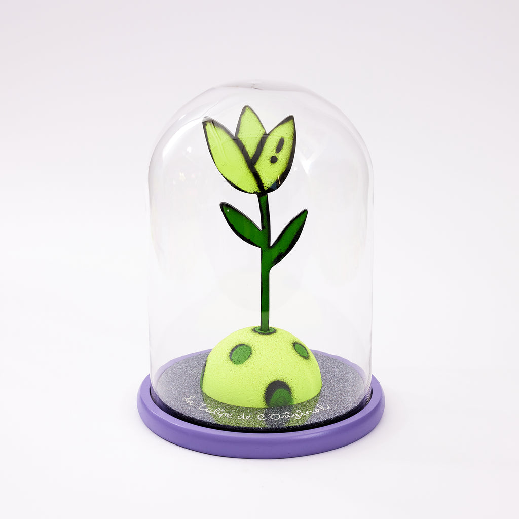 La Tulipe de L'Original XIII